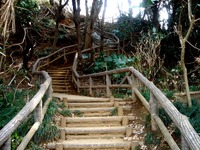 20060312_習志野市鷺沼1_鷺沼城址公園_1108_DSC01411