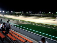 20150617_船橋市若松1_船橋競馬場_ナイター設備_1945_DSC08975