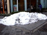20140219_関東に大雪_南岸低気圧_雪雲_積雪_0942_DSC05899