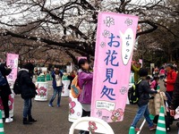 20160323_東京都台東区_上野公園_上野恩賜公園_桜_1125_DSC09884