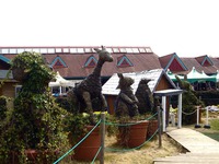 20150412_千葉県袖ケ浦永吉_東京ドイツ村_1323_DSC09136