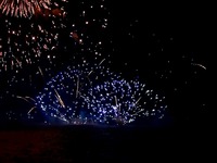 20140802_習志野市茜浜緑地_習志野市民花火大会_2020_040120
