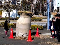 20110318_浦安市高州_飛び出たマンホール_0247T