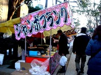 20150103_船橋市宮本5_船橋大神宮_意富比神社_初詣_1544_DSC04396