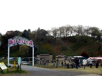 20150412_千葉県袖ケ浦永吉_東京ドイツ村_1535_DSC09354
