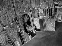 1947年_昭和22年_市川市二俣_中山競馬場移転先_高潮_失敗_030