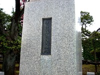 20150419_船橋市古作1_中山競馬場_ヤエザクラ_サトザクラ_1053_DSC00419
