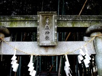 20170305_市川市八幡2_不知森神社_0910_DSC02020