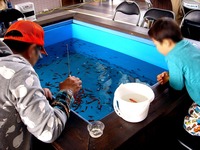 20150418_船橋市潮見町_ふなばし三番瀬海浜公園_1138_DSC00179