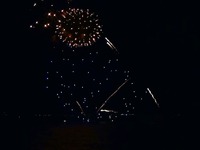20140802_習志野市茜浜緑地_習志野市民花火大会_2020_04060