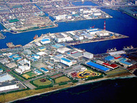 20090315_船橋市潮見町_ふなばし三番瀬海浜公園_010