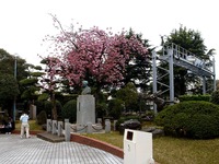 20150419_船橋市古作1_中山競馬場_ヤエザクラ_サトザクラ_1053_DSC00418