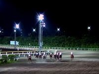 20150617_船橋市若松1_船橋競馬場_ナイター設備_1927_46030