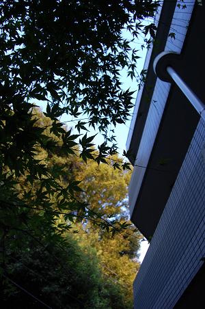 0d327e4d.jpg