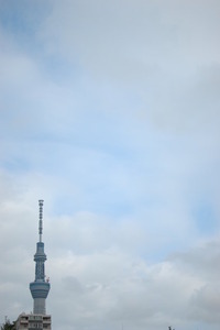DSC_2937