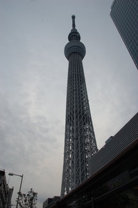 DSC_5865