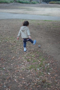 tomo2011