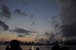 _DSC4919