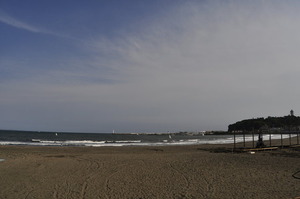 _DSC5082