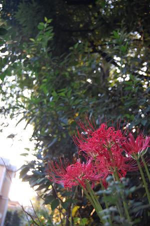 62f605b0.jpg