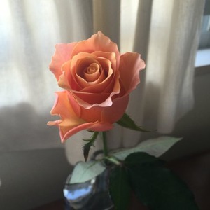 69296f05.jpg