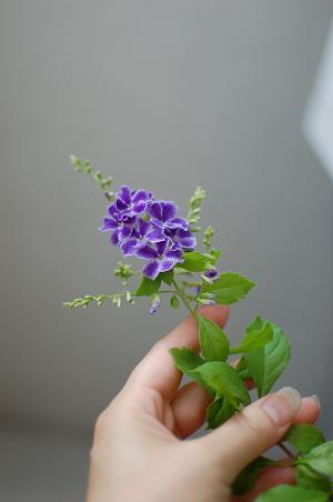 769810f2.jpg