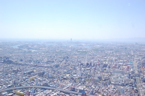 DSC_7408