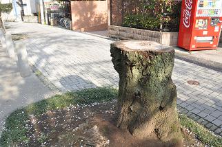 10-0407-sacrifizio