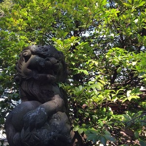 dcd04255.jpg