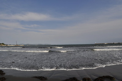 _DSC5079