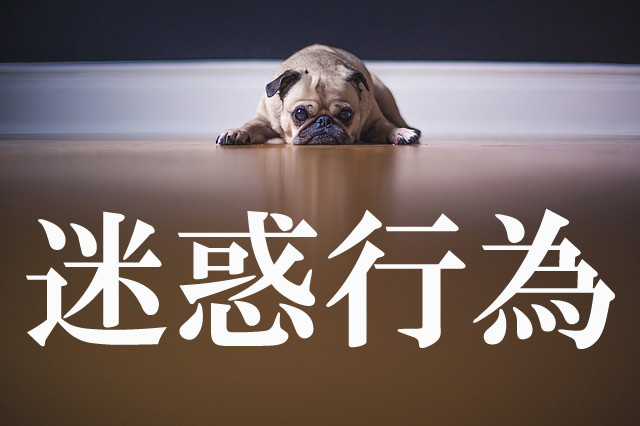 pug-1209129_640