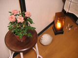 6887cd02.jpg