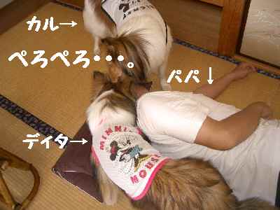 疲れてぺろぺろ