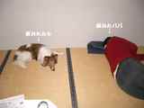 疲れた二人