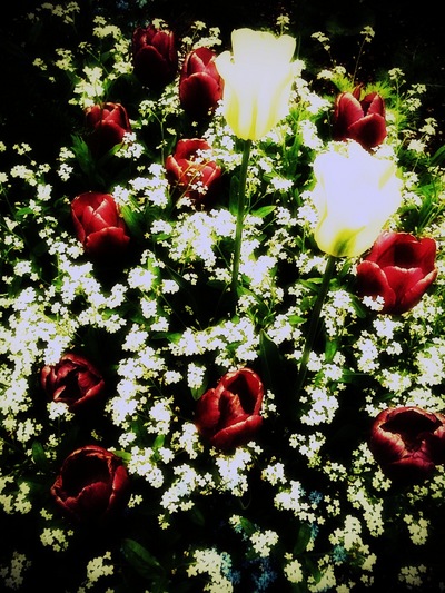 花束