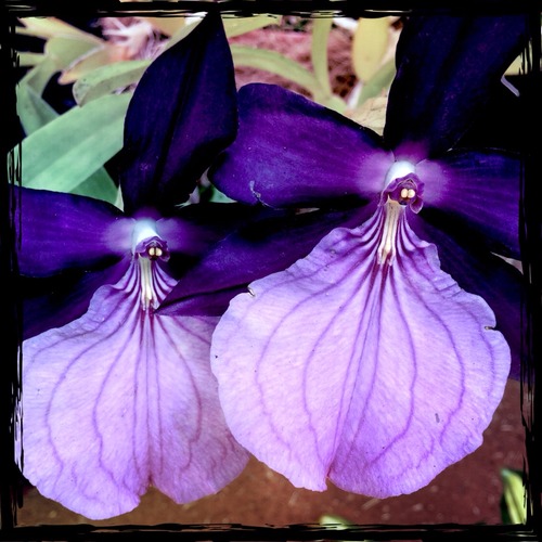2014-09-23-11-51-42