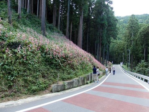 1-P9190106