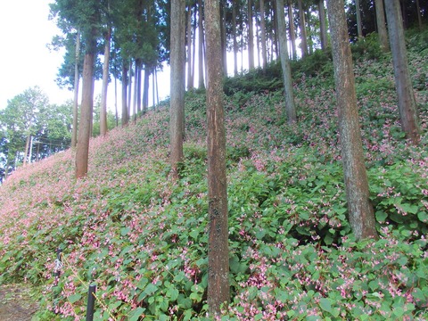1-P9190120