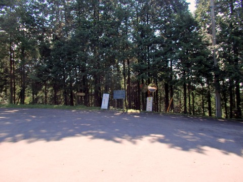 1-P9190052