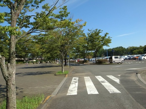 1-R4026155