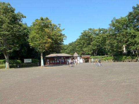 1-R4026156