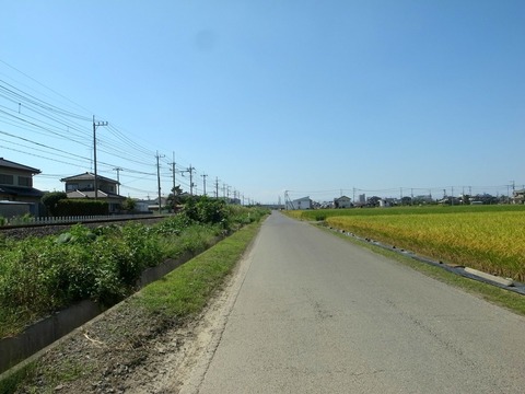 1-R4026128