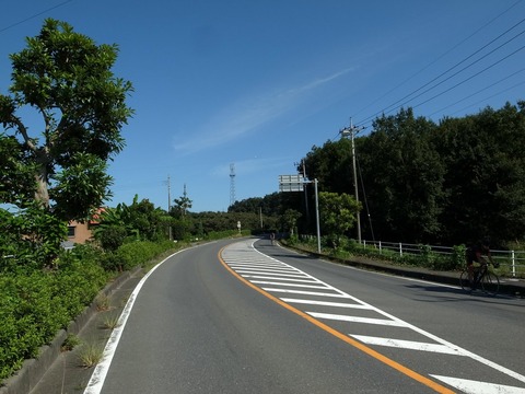 1-R4026161