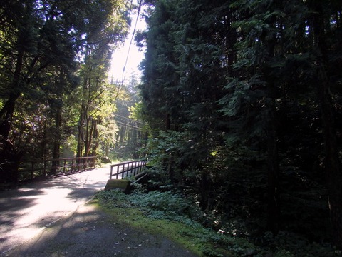 1-P9190029