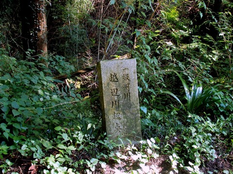 1-P9190037