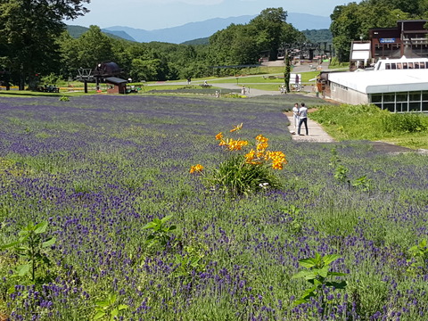 20150722_100421