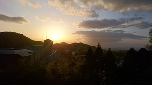 DSC_0637