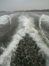 eee33781.jpg