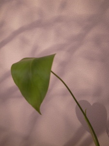 R0013159