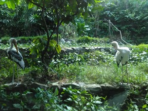 IMG_20190112_114658